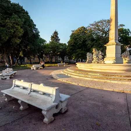 The Explorers - Sunny Stylish Family-friendly